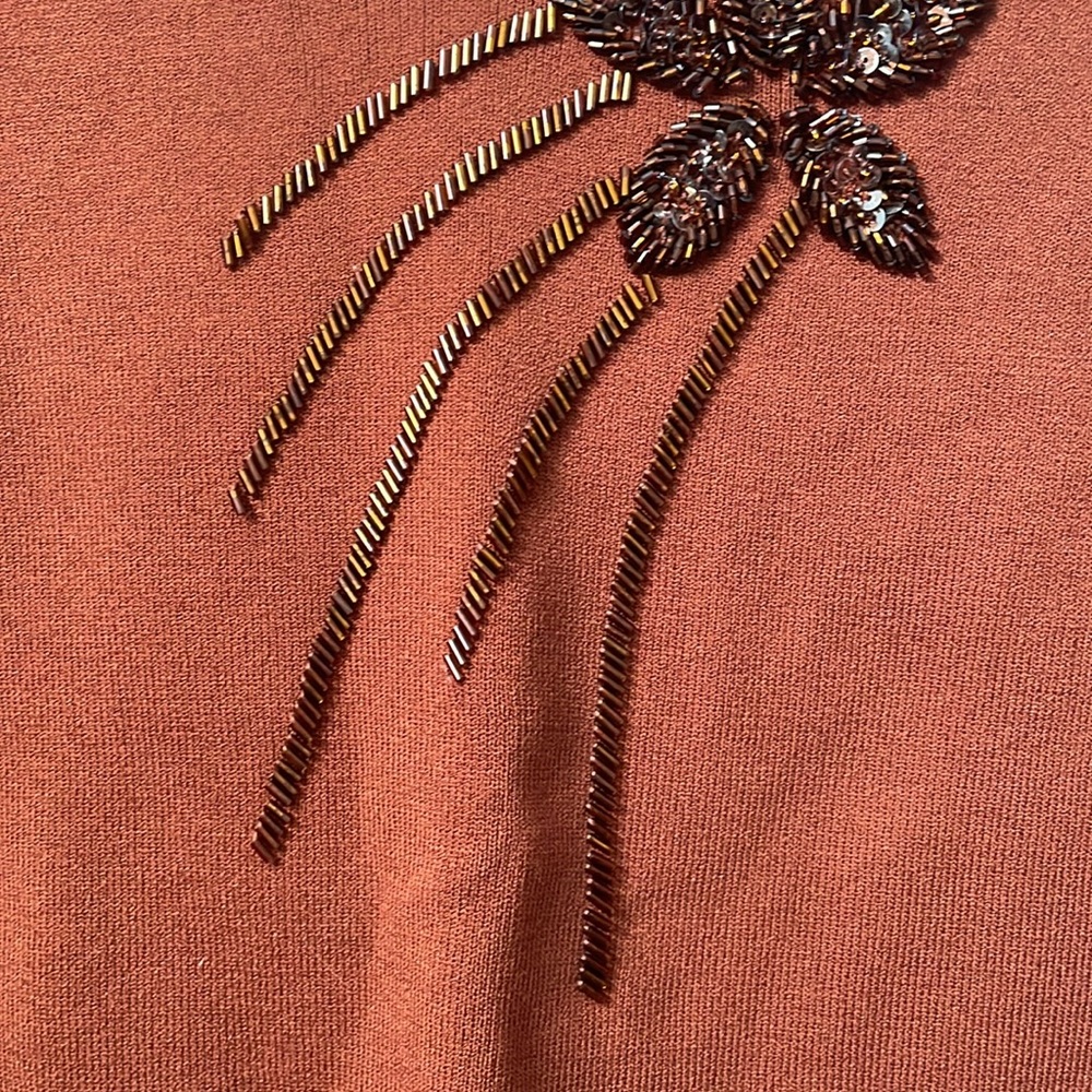 Beaded V-Neck Rust Top - Picture 4 of 7